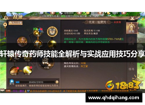 轩辕传奇药师技能全解析与实战应用技巧分享
